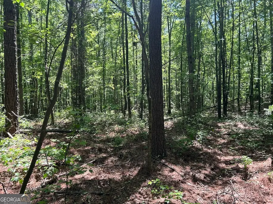 0 Old Draketown Trail, Temple, GA 30179 - #3