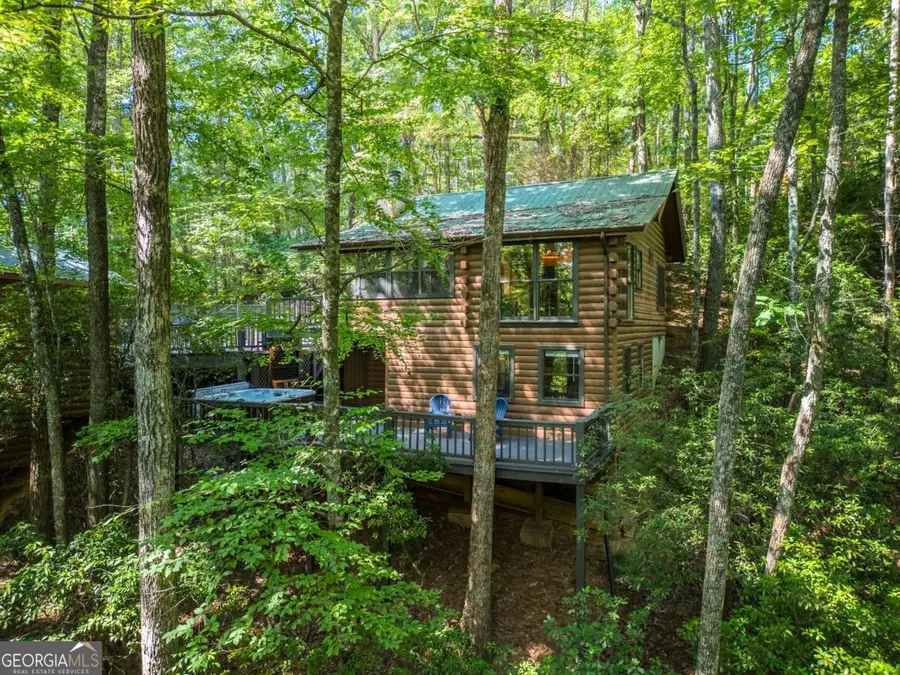 556 Cherry Lake Drive, Cherry Log, GA 30522 - #2