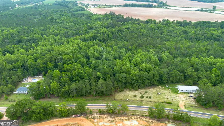 0 Carters Bridge Road, Claxton, GA 30417 - #2