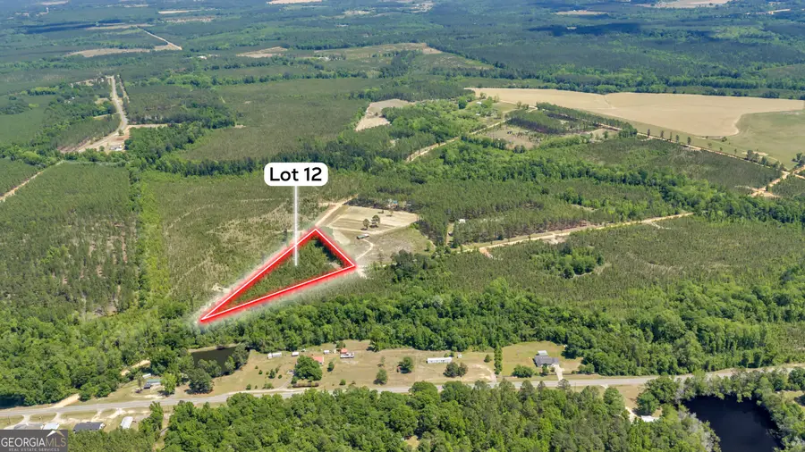 12 Graham Lane, Cadwell, GA 31009 - #2