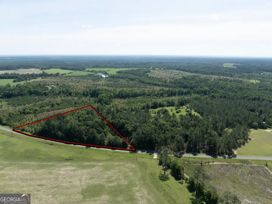 0 Scotland Road, Alamo, GA 30411 - #2