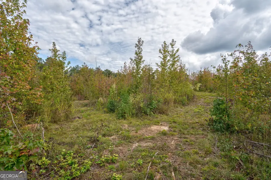 0 Old Salem Rd Tract 2, 3, 4, Watkinsville, GA 30677 - #3