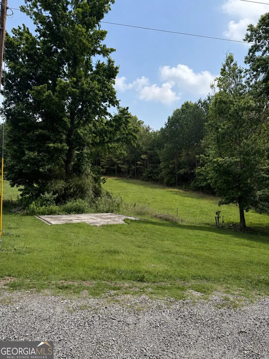 383 Patterson Lane, Franklin, GA 30217 - #3