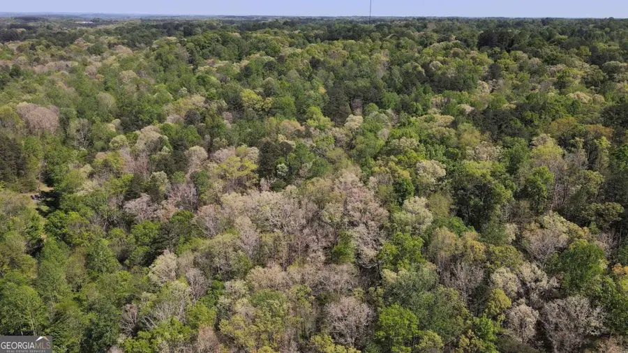 0 Crane Mountain Road, Toccoa, GA 30577 - #3