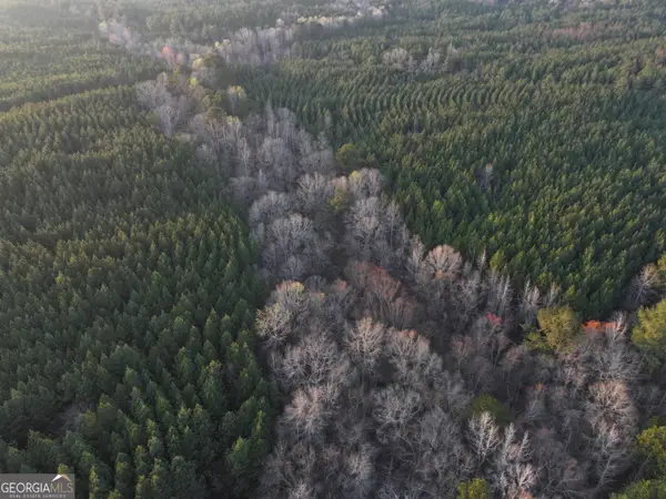 94 +/- Acres On Edwards Road, Franklin, GA 30217
