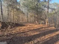 000  (948) Smyrna Church Road, Molena, GA 30258 - #2