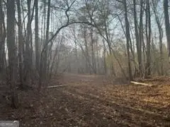 000  (948) Smyrna Church Road, Molena, GA 30258 - #3