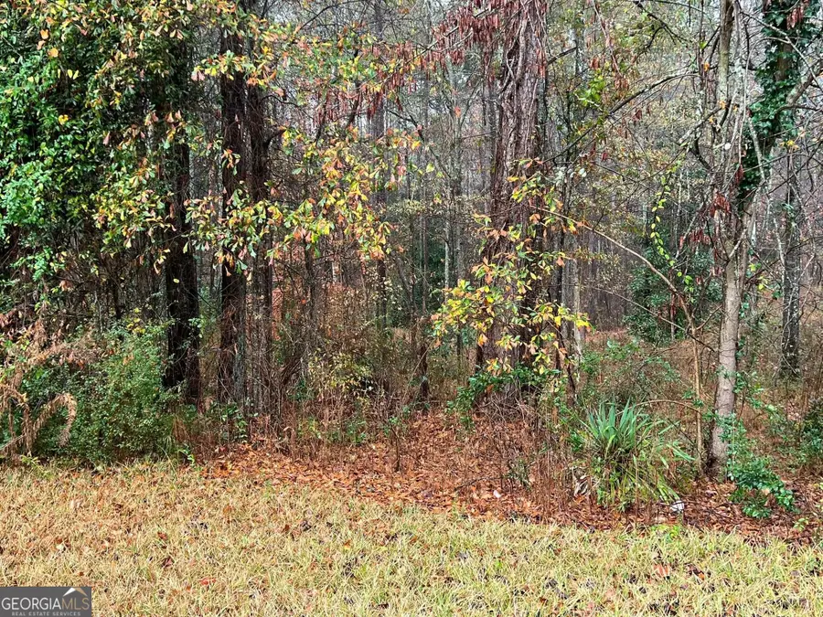 0 Cherokee Drive, Tallapoosa, GA 30176 - #2