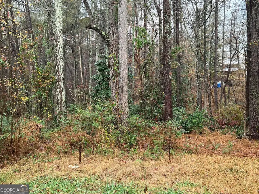 0 Cherokee Drive, Tallapoosa, GA 30176 - #3