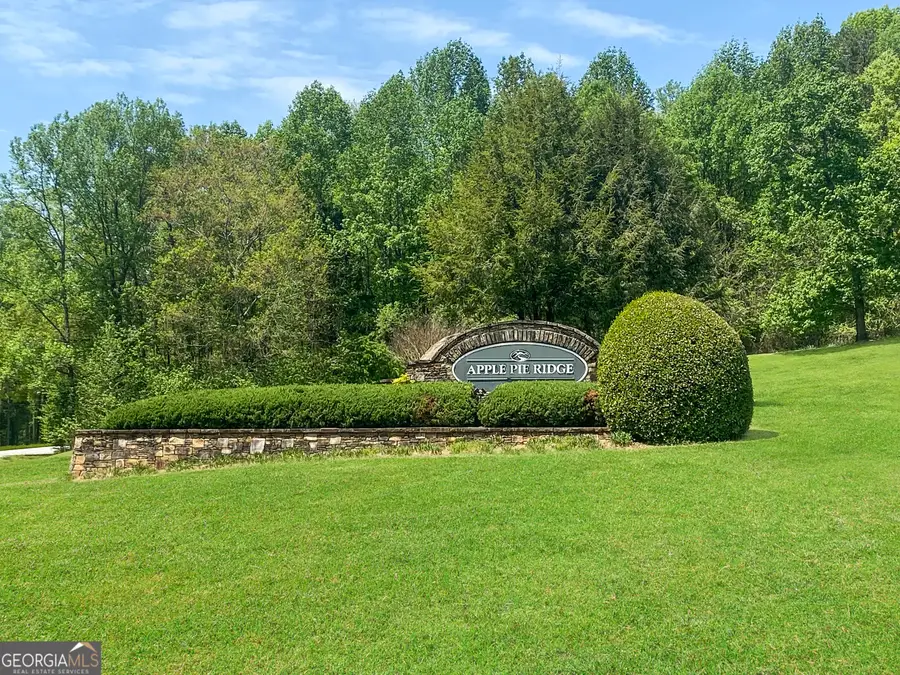 133 Lakeview Walk, Banks, GA 30511 - #2