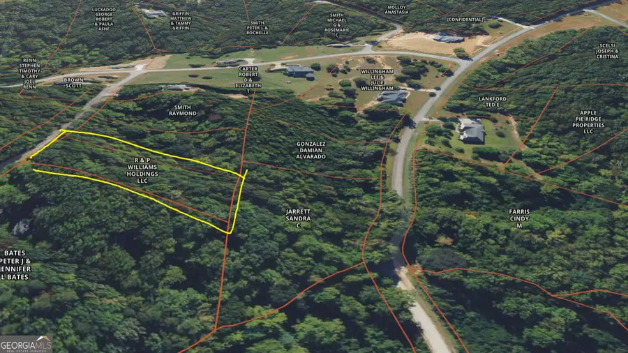 133 Lakeview Walk, Banks, GA 30511 - #3