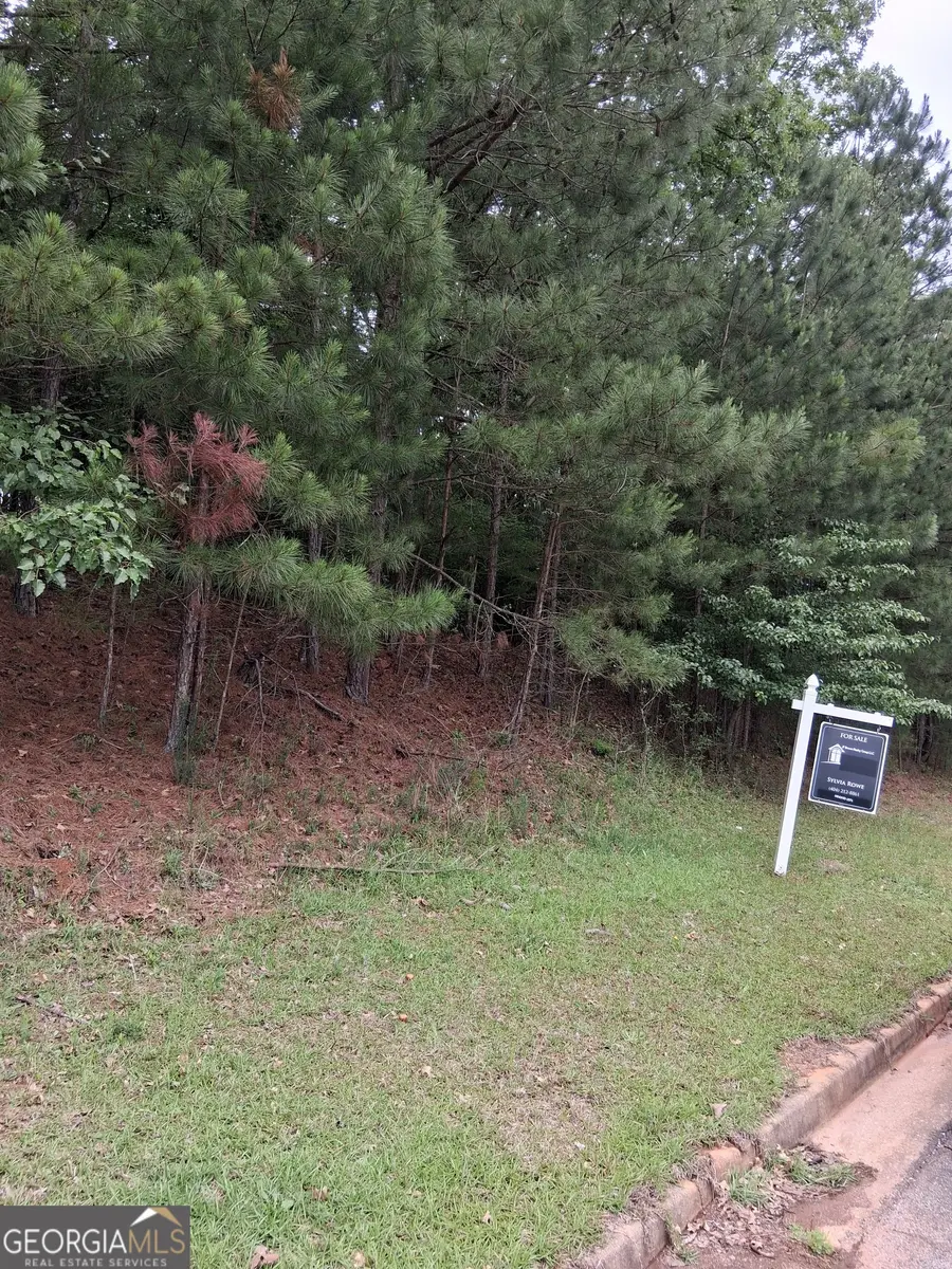 0 Bellevue Southwest Drive, Conyers, GA 30094 - #2