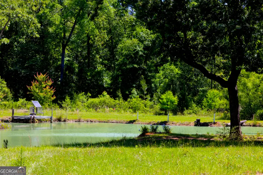 246 Melton Mill Road, Dawson, GA 39842 - #2