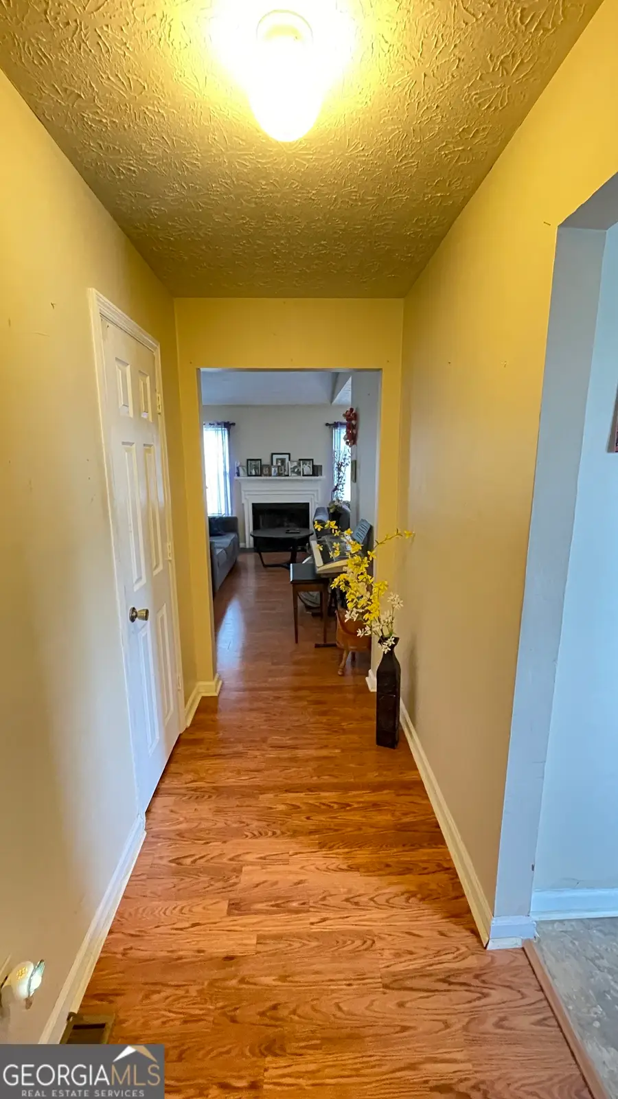 4276 Catalpa Park, Ellenwood, GA 30294 - #3