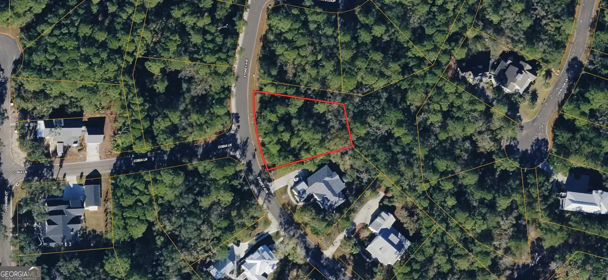 0 Storey Avenue, Saint Marys, GA 31558 - #1