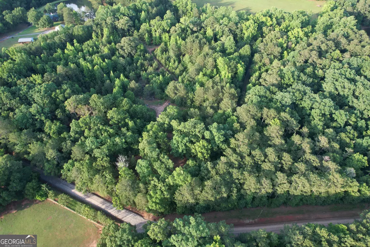 541B Ellis Dairy Road, Griffin, GA 30224 - #1