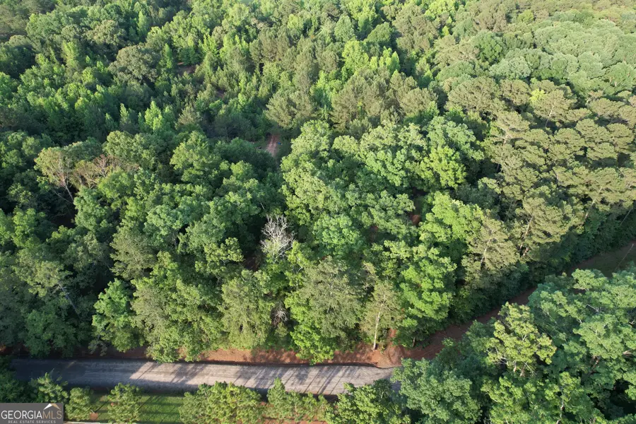 541B Ellis Dairy Road, Griffin, GA 30224 - #2