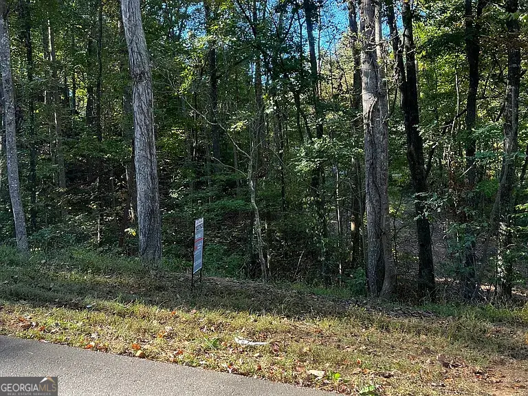 5716 Quail Mountain Trail, Gainesville, GA 30506 - #1