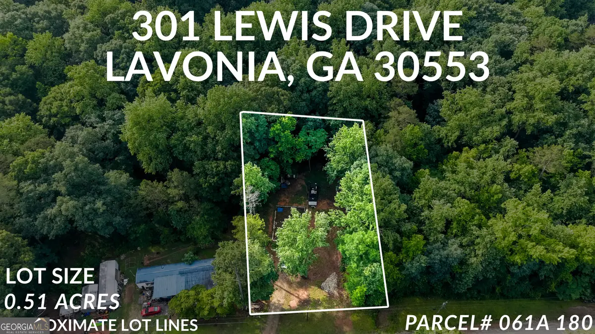 301 Lewis Drive, Lavonia, GA 30553 - #1