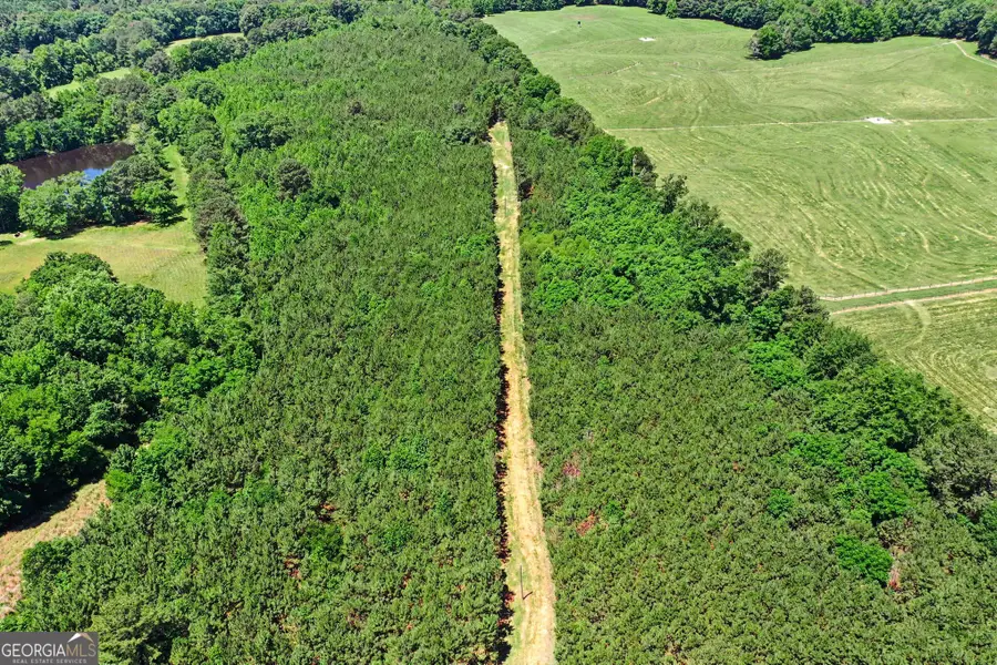 X0X0 Court Ground Road, Washington, GA 30673 - #2