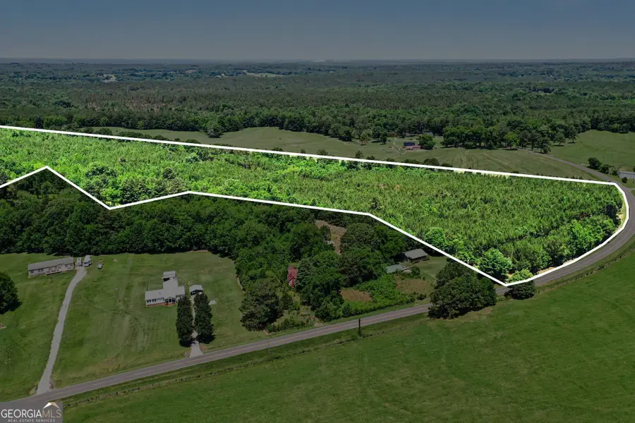 X0X0 Court Ground Road, Washington, GA 30673 - #3
