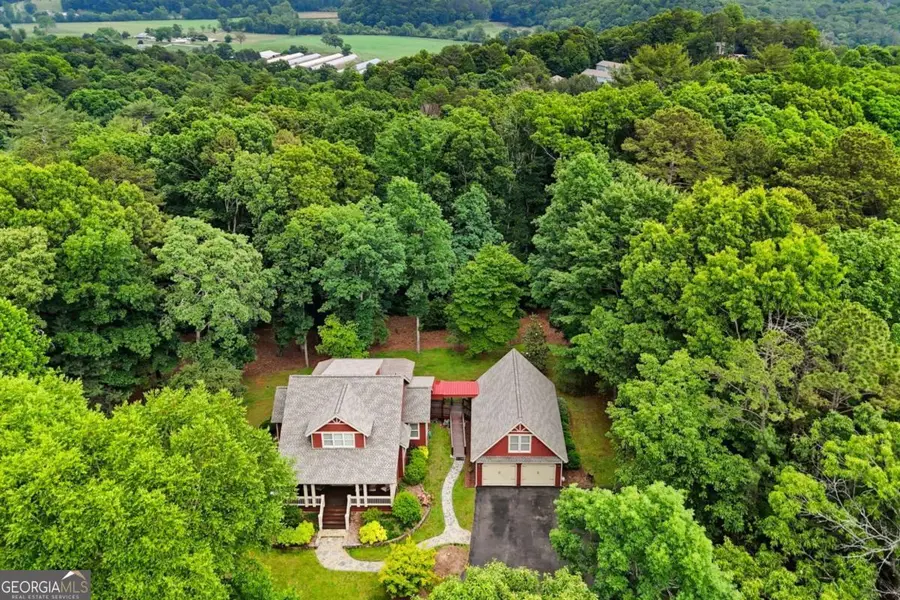1110 Chatsworth Highway, Ellijay, GA 30540 - #2