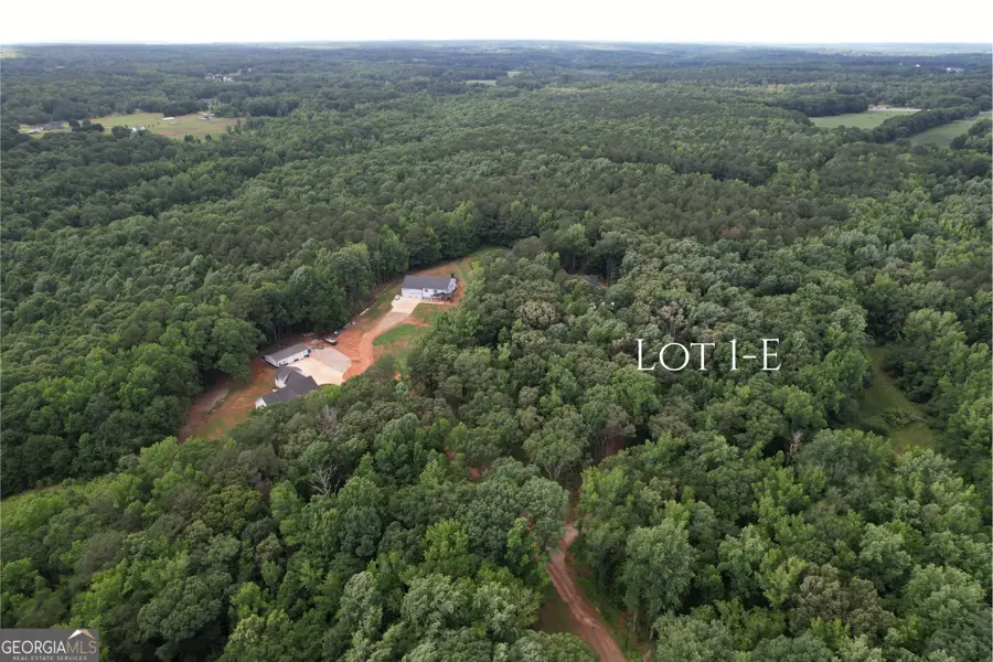 4009 Jersey Covington Road, Covington, GA 30014 - #3