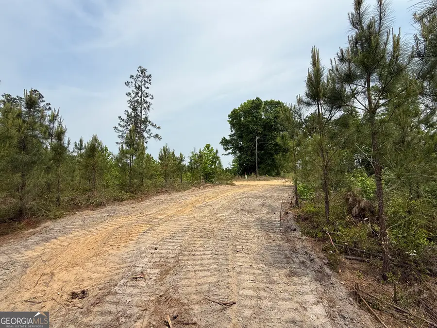 13 Graham Lane, Cadwell, GA 31009 - #3