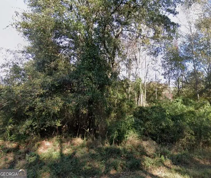 0 Harris Road, Ellerslie, GA 31807 - #2