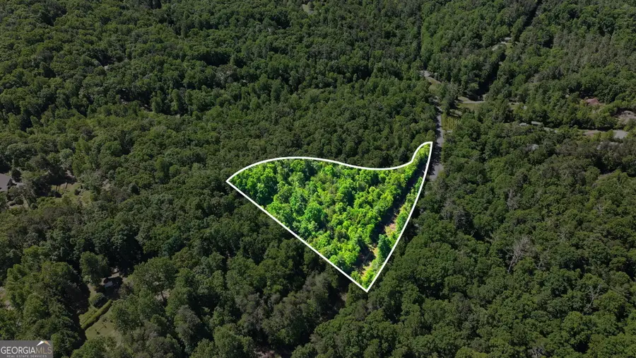 201 Spookhaven Lane, Clarkesville, GA 30523 - #2