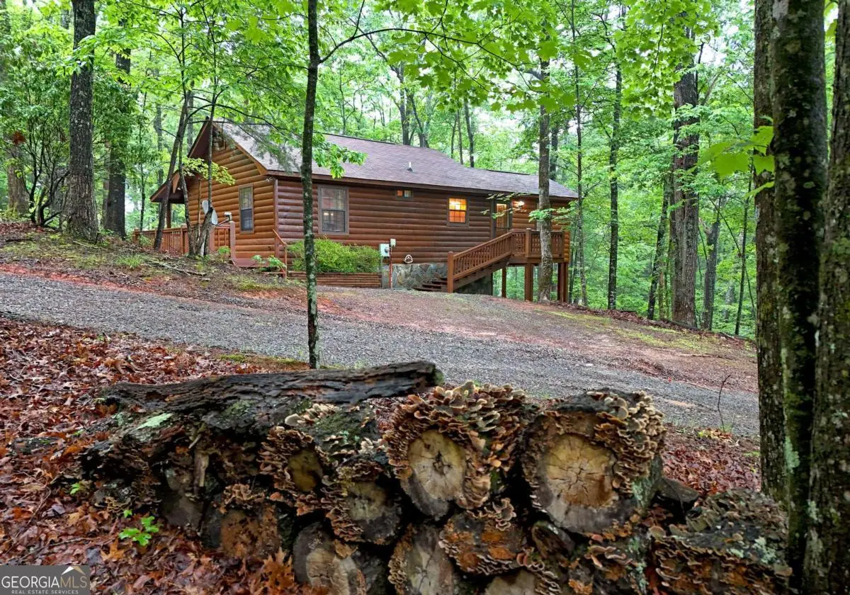 31 Eagle Feather Drive, Cherry Log, GA 30522 - #1