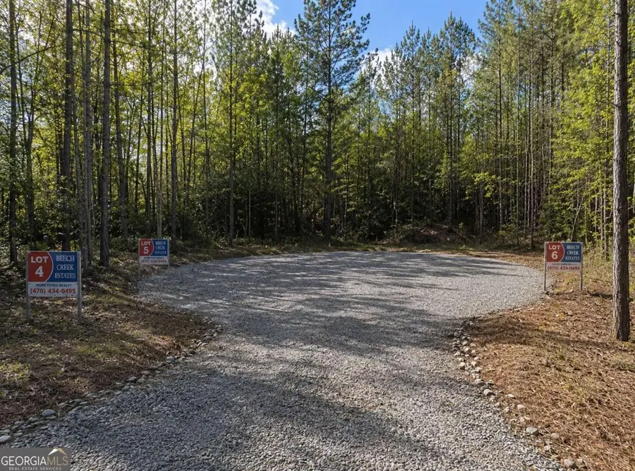 0 Mangum Lane, Pendergrass, GA 30567 - #2