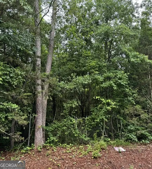 0 Lewis Lot 17 Drive, Lavonia, GA 30553 - #1