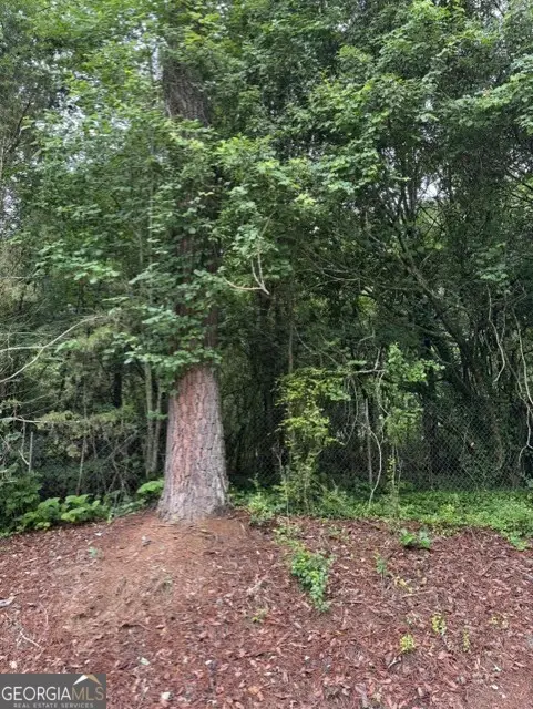0 Lewis Lot 17 Drive, Lavonia, GA 30553 - #2