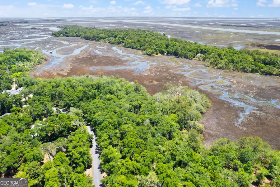 LOT 54 St. Joseph's Point, Darien, GA 31305 - #2