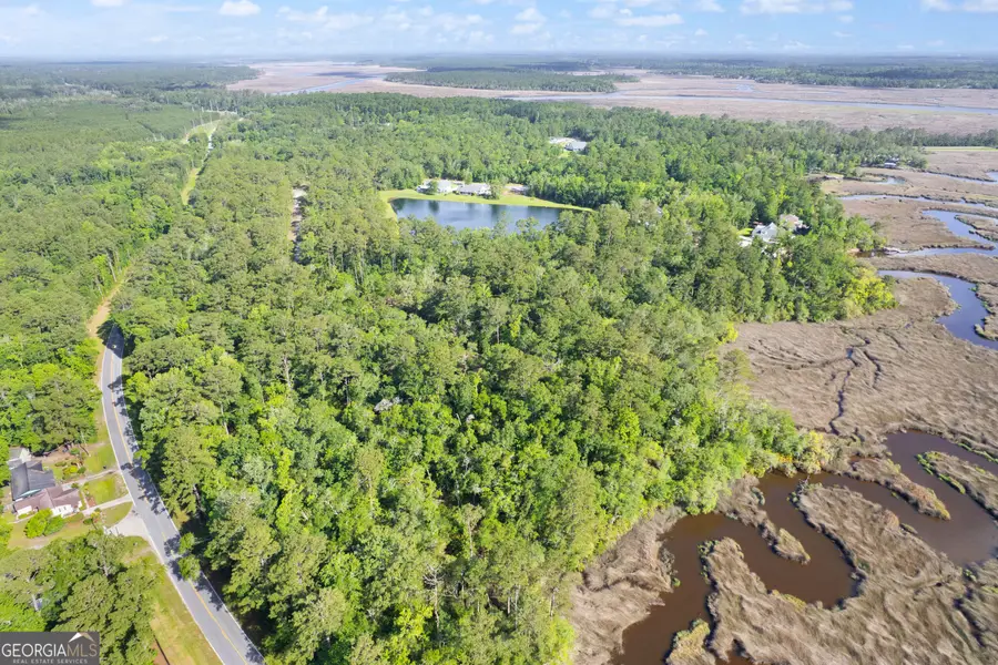 LOT 13 Timmons Drive, Waverly, GA 31565 - #3