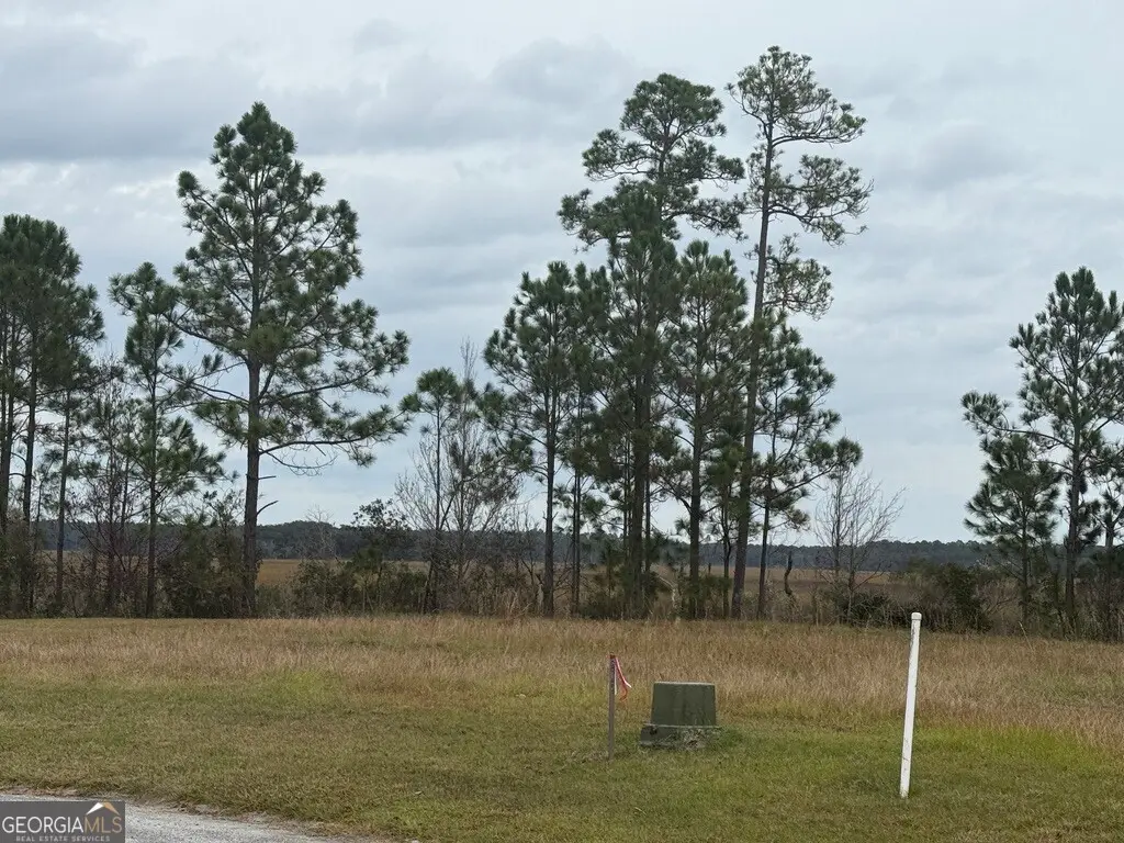 316 Bateau Drive, Saint Marys, GA 31558 - #1