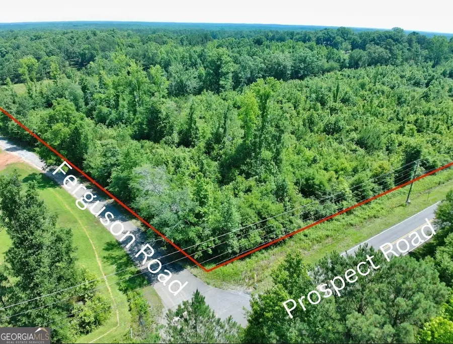 0 Prospect Road, Nauvoo, AL 35578 - #2