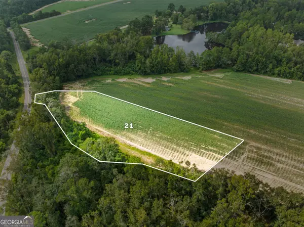 0 Miller St Extension #LOT 21, Statesboro, GA 30458