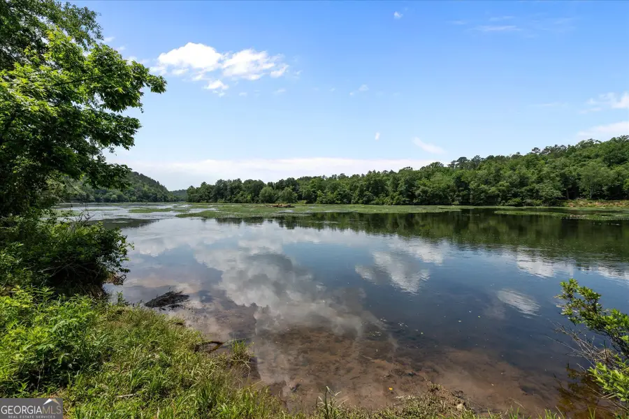 1456 County Road 854, Wadley, AL 36276 - #2