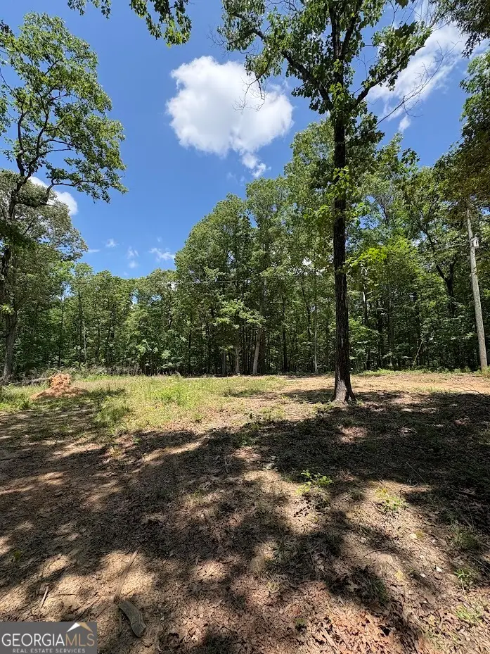 4492 U.s. 78, Tallapoosa, GA 30176 - #1