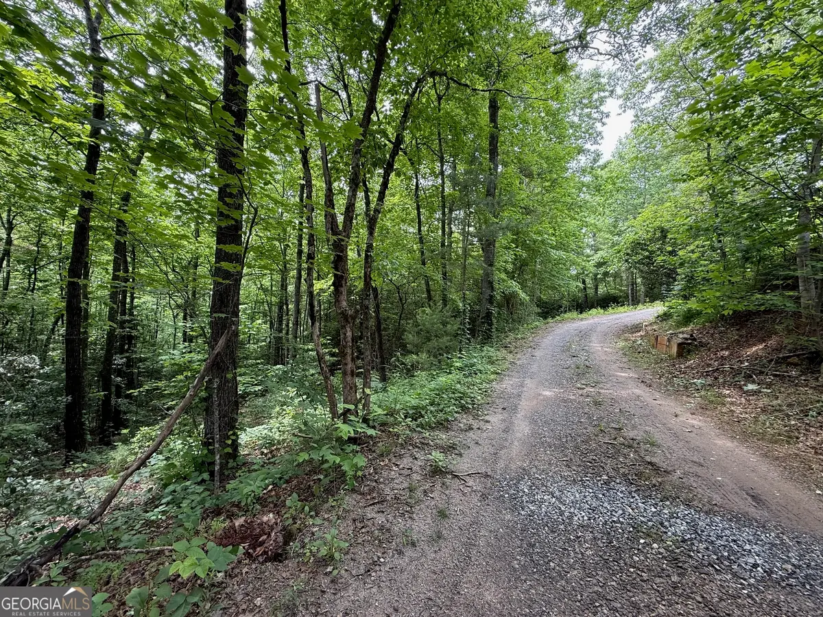 0 Mr Bert Road, Hiawassee, GA 30546 - #1