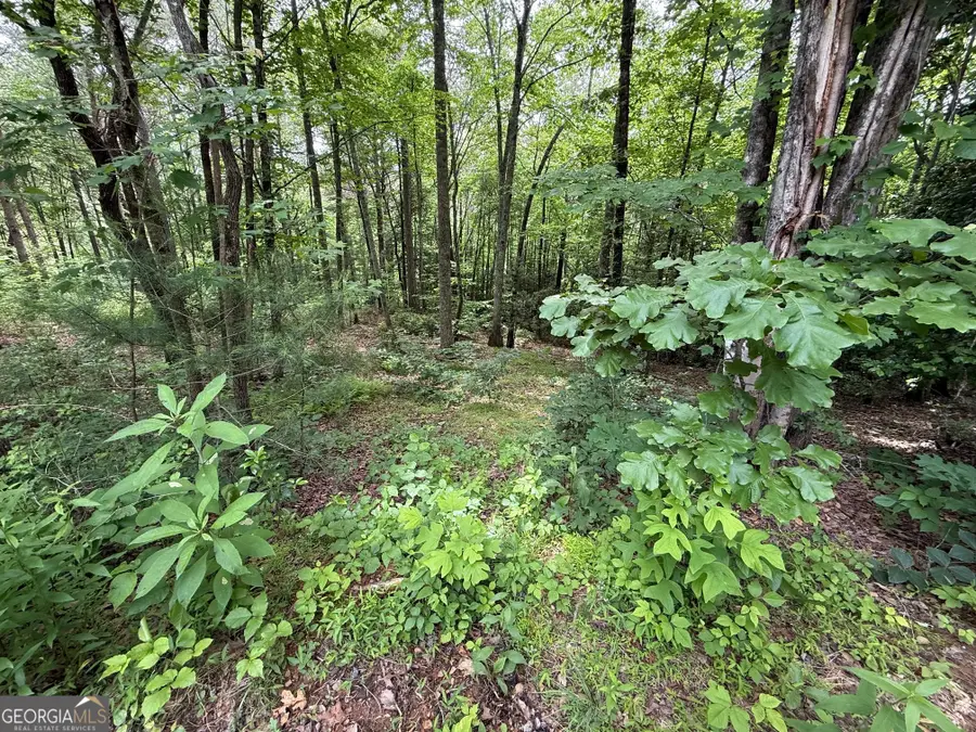 0 Mr Bert Road, Hiawassee, GA 30546 - #3