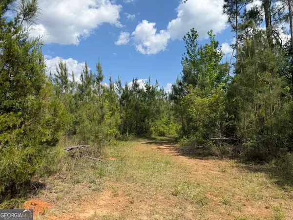 001 George Milling Rd, Cuthbert, GA 39840