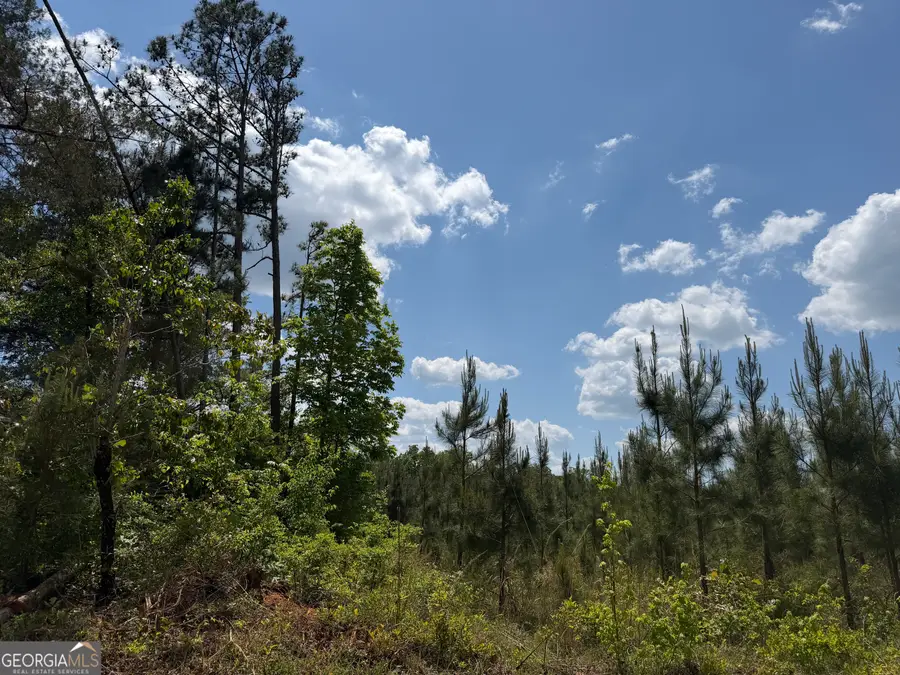 001 George Milling Road, Cuthbert, GA 39840 - #3