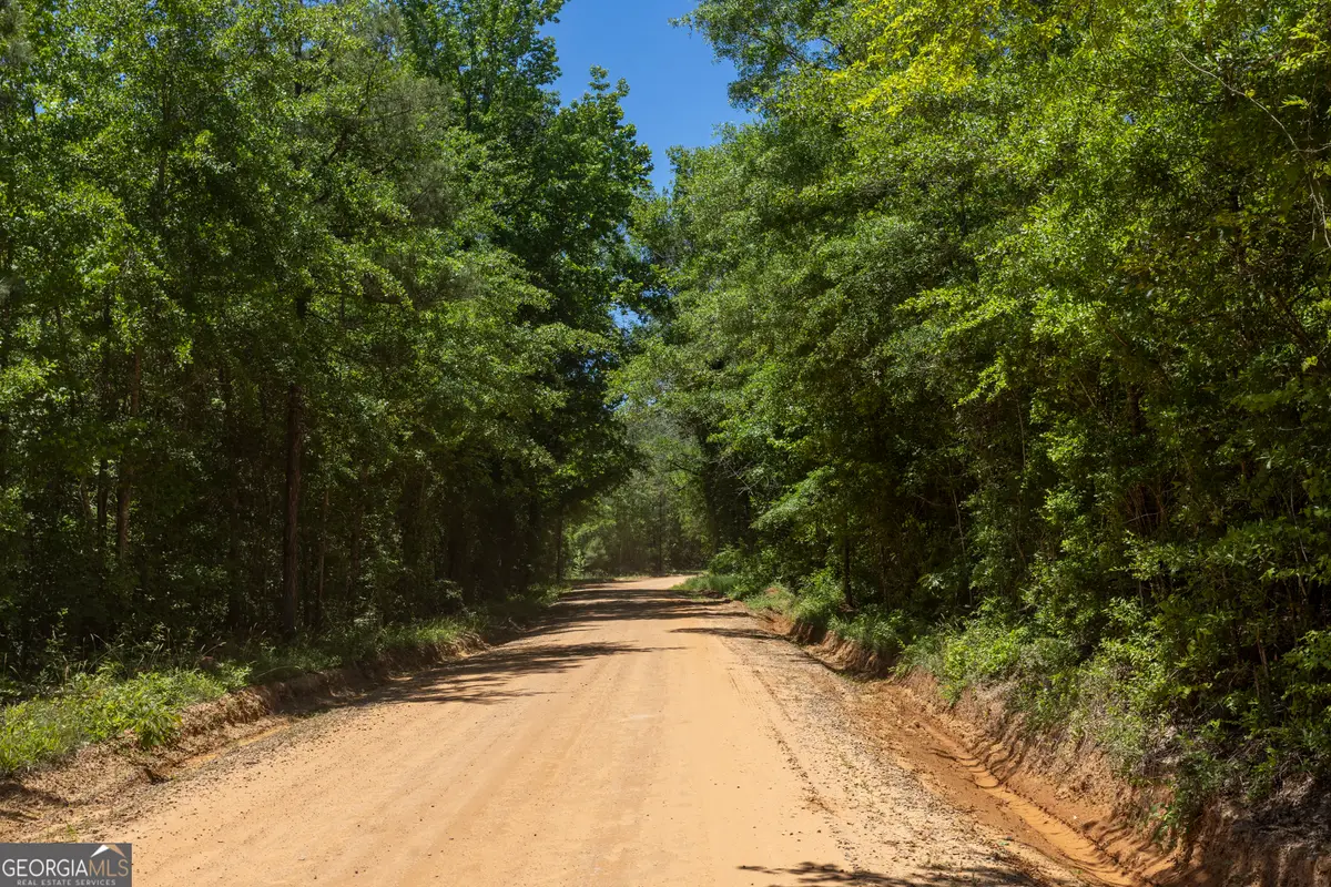 0 Old Griswoldville Road, Gordon, GA 31031 - #1