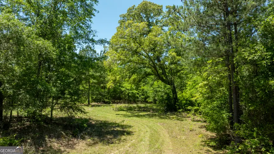 0 Old Griswoldville Road, Gordon, GA 31031 - #3