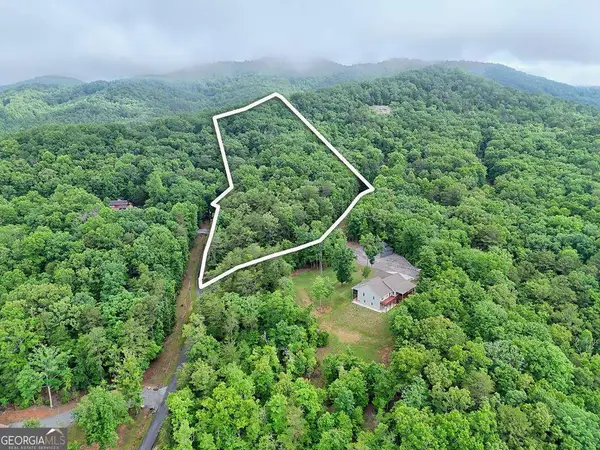 LT 16,19 Pheasant Trail #16,19, Warne, NC 28909