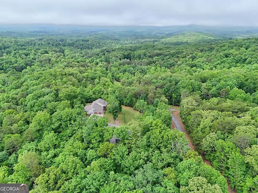 LT 16,19 Pheasant Trail #16,19, Warne, NC 28909 - #2