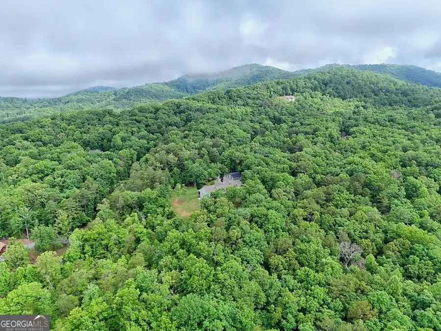 LT 16,19 Pheasant Trail #16,19, Warne, NC 28909 - #3